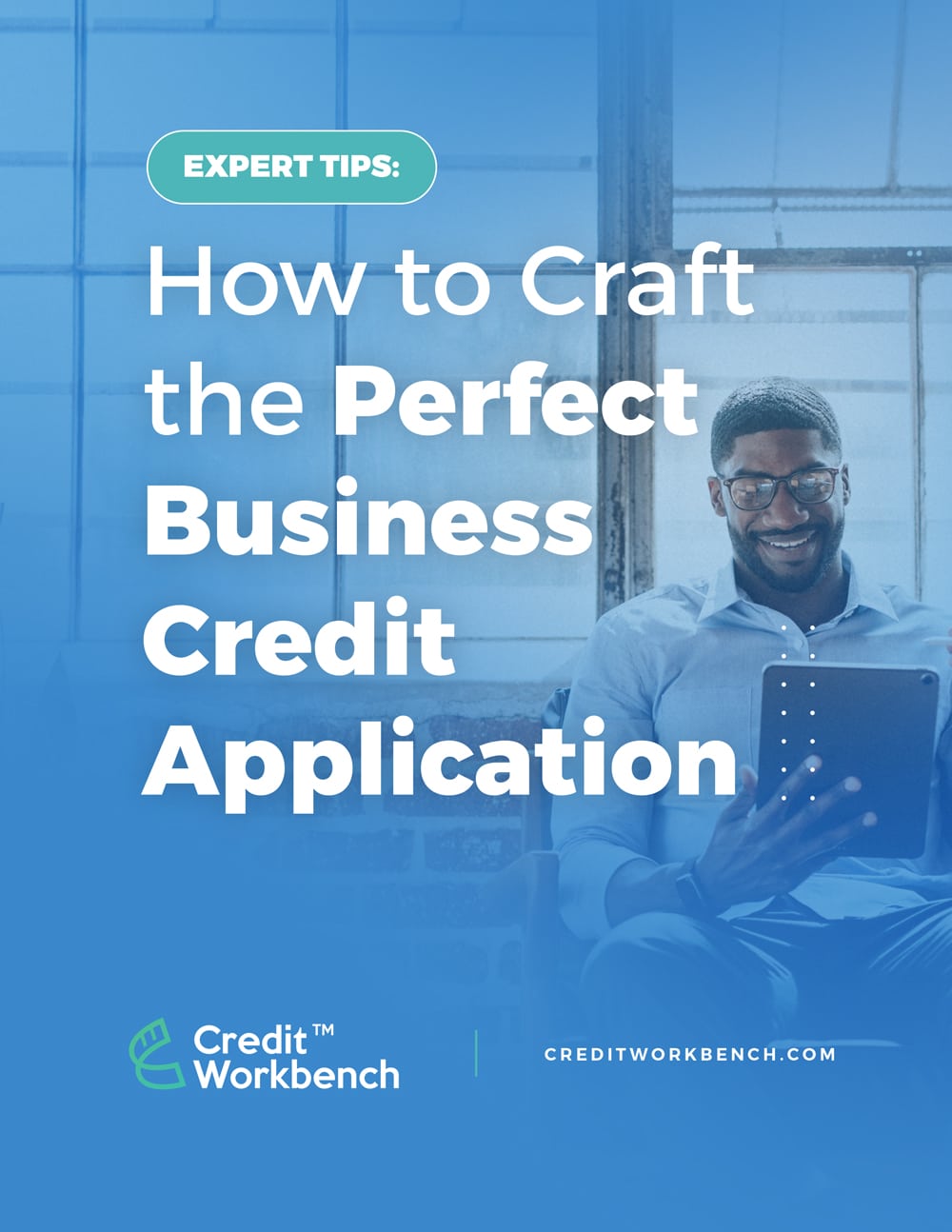 Image of the cover of an E-book about crafting the perfect credit application.